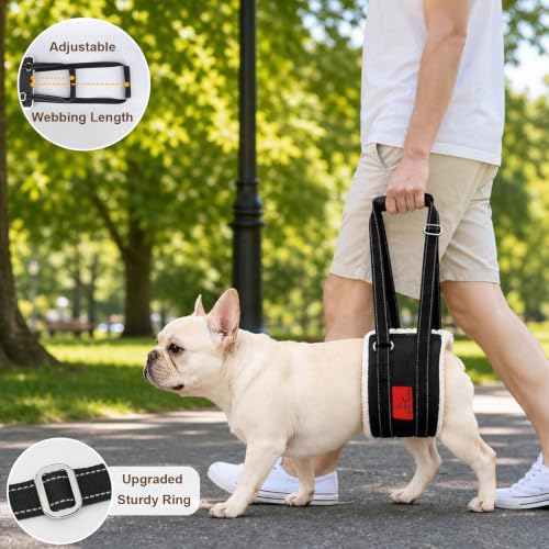 Dog Lift Harness (XS)