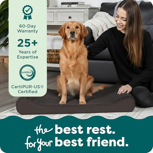 Ultra Plush & Suede Luxe Lounger Orthopedic Pet Bed (Jumbo Plus/XXL / Chocolate)