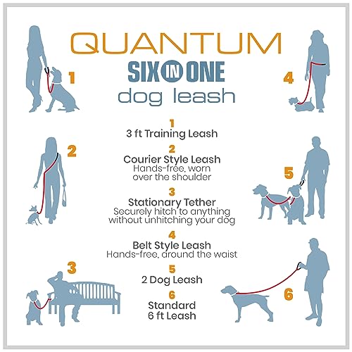 Quantum 6 in 1 Dog Leash (Blue)