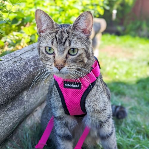 Cat Harness and Leash Set (S / Rose Red)