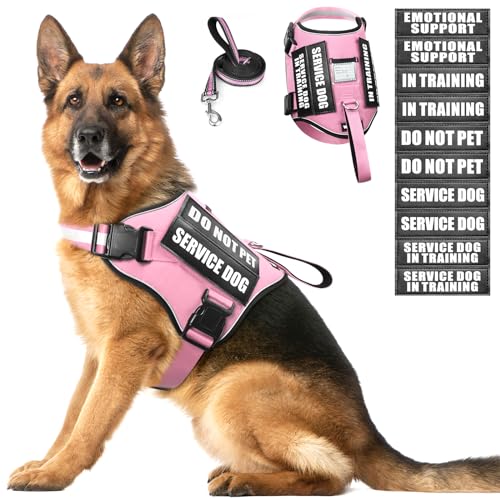 Service Dog Harness and Leash Set (X-Large / Pink)