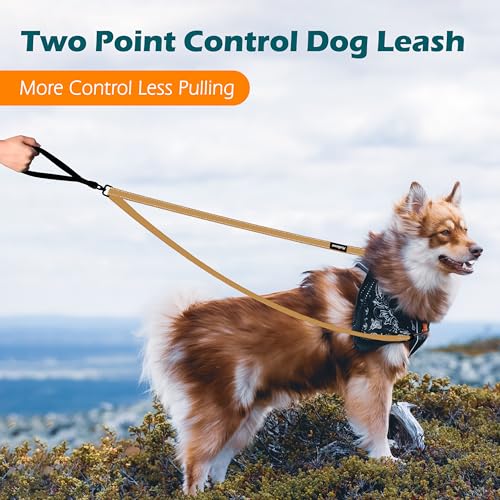 Two Point Control Dog Leash (Khaki)