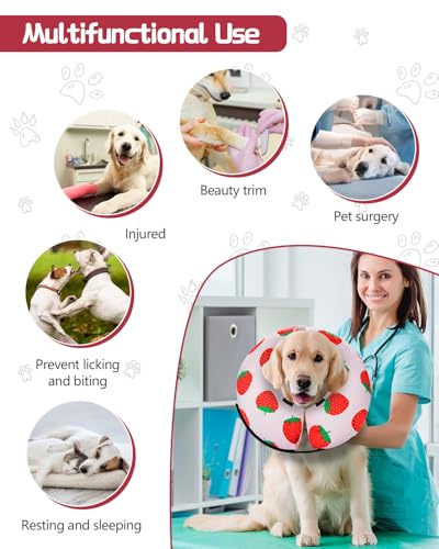 Inflatable Dog Cone (Strawberry / M(12"-15"))