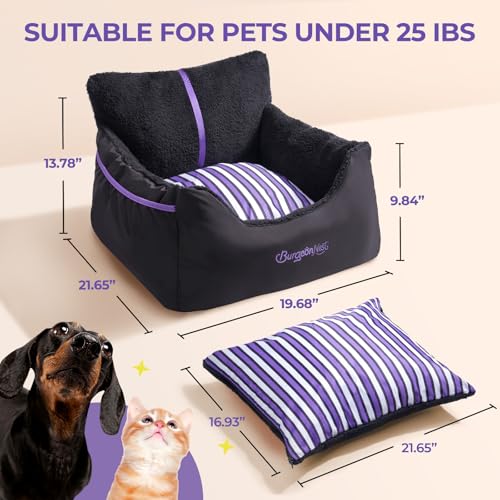 Dog Car Seat for Small Dogs & Cats Under 25 lbs (Black Purple / Small)