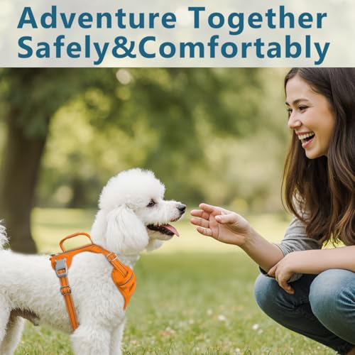 No Pull Dog Harness for Small Sized Dogs (Small(Chest:19.5-26”) / Pumpkin-Oxford)