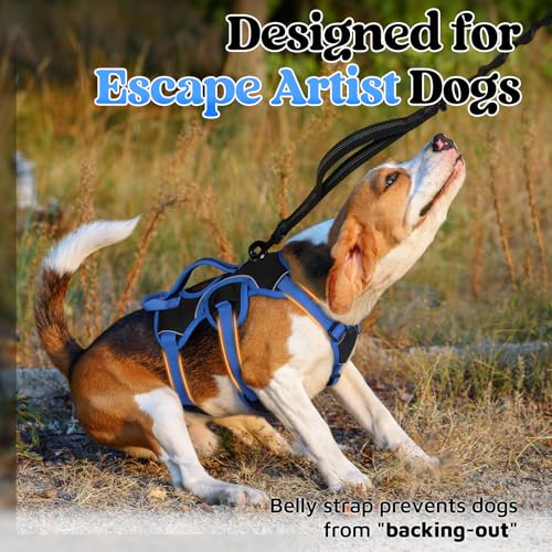 Escape Proof Dog Harness for Small (Blue & Black / Small)