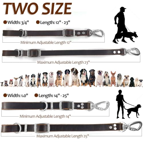 Leather Short Dog Leash (Width: 1.0" Length: 14-25")