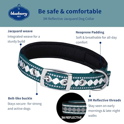 Reflective Jacquard Dog Collar with Neoprene Padding & Metal Buckle (Small / Metal Buckle-Teal Blue)