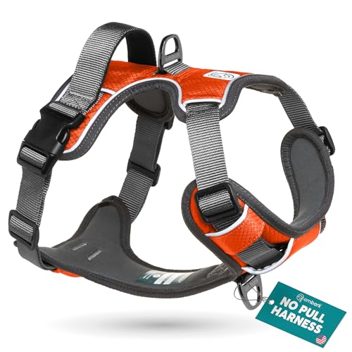 Embark No Pull Dog Harness (S / Orange)
