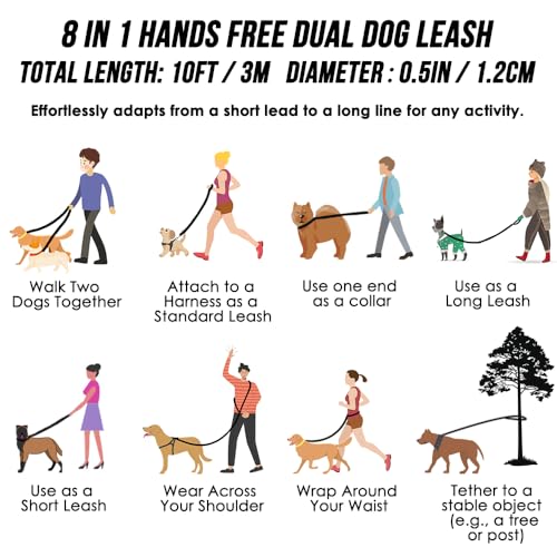 Hands Free Dog Leash (Black)