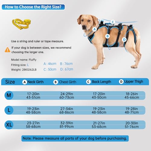Dog Lift Harness for Large Male Dogs (Large / Black)