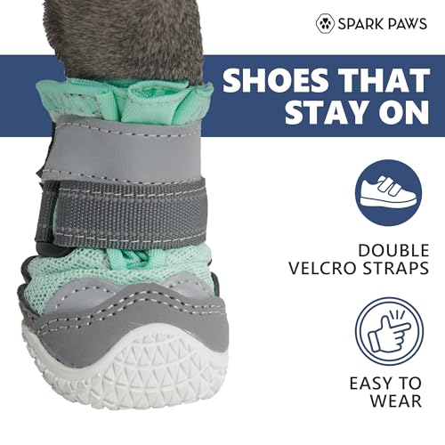 365 Dog Shoes (Turquoise / Size 6: 2.6"x2.95"(W*L) (Pack of 4))