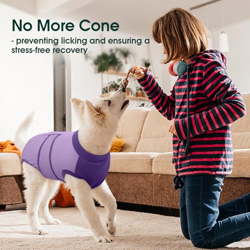 Dog Recovery Suit (Purple / XX-Large)
