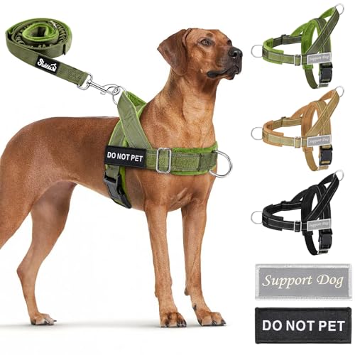 No Pull Dog Harness and Leash Set (Green / Medium)