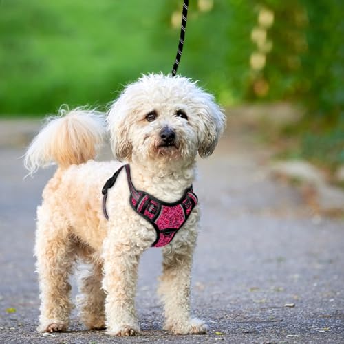 Dog Harness for Small Sized Dog No Pull Dog Vest ID Tag Pocket (Pink/Black / X-Small)