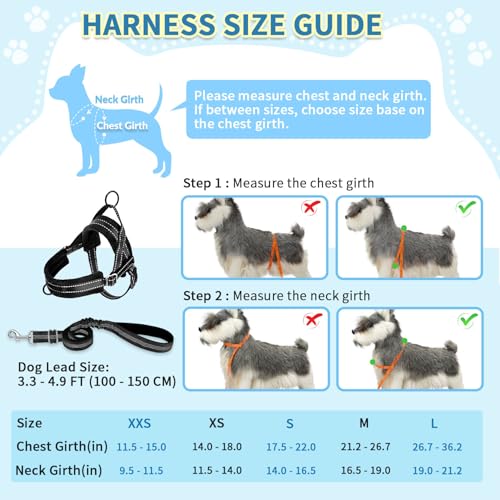 No Pull Small Dog Harness and Leash Set with Front Clip (X-Small / Black)