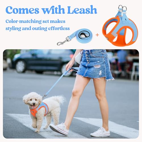 Dog Harness Small Sized and Leash Set (Blue & Orange / Xxxs (chest: 10.8 - 11.8"))