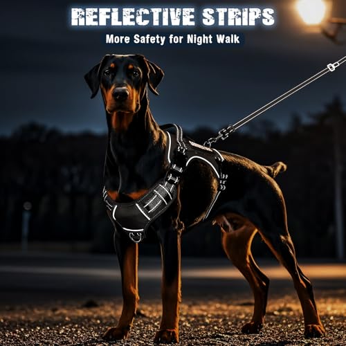 Tactical Dog Harness and Leash Set with 10 Patches for Large Dogs (X-Large / Black)