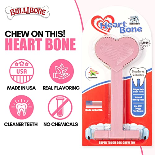Nylon Dog Chew Toy for Aggressive Chewers (Large - 3 Pack)