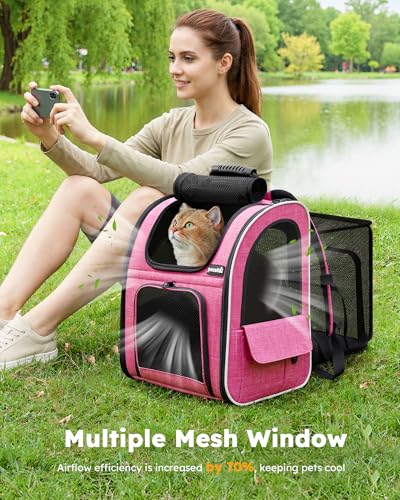 Cat Backpack Extendable (Pink / 12.6"L x 10.2"W x 16.5"H)
