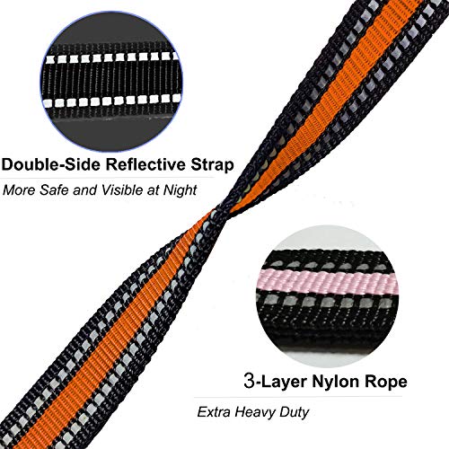 Short Dog Leash (Wide-Orange)
