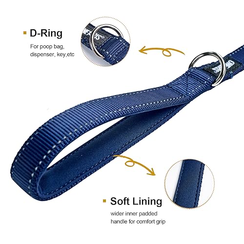 No Pull Dog Leash with Handle for Medium Large Dogs (Blue / 6FT)