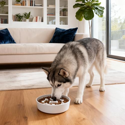 Ceramic Slow Feeder Dog Bowls (White Bone)