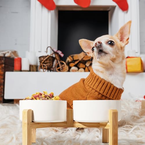 Elevated Ceramic Dog Bowl (White / Medium)