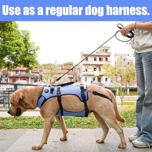 Dog Lift Harness for Large Dogs (Blue / L)