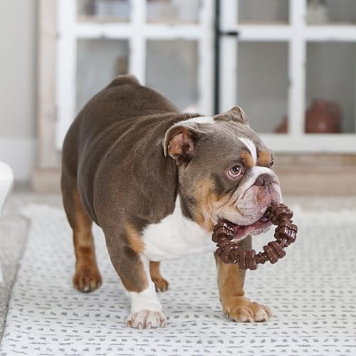 Power Chew Customer Favorites Dog Chew Toys (Large / Bundle)