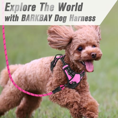 Dog Harness No Pull for Small Sized Dog Front Back Clips (X-Small(Chest:15.5-19.5”) / Pink)