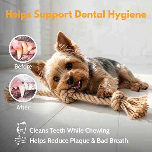 Dog Rope Toys for Small Dogs