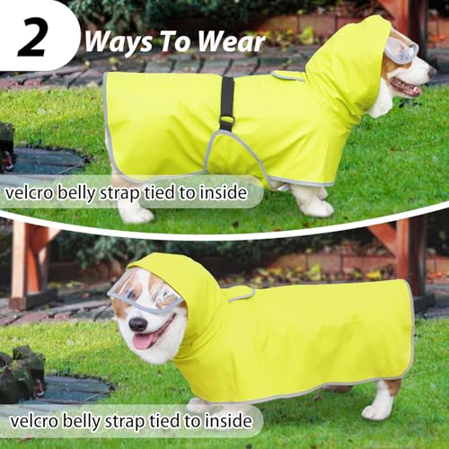 Dog Raincoat Hooded Slicker Poncho (X-Large / Green)
