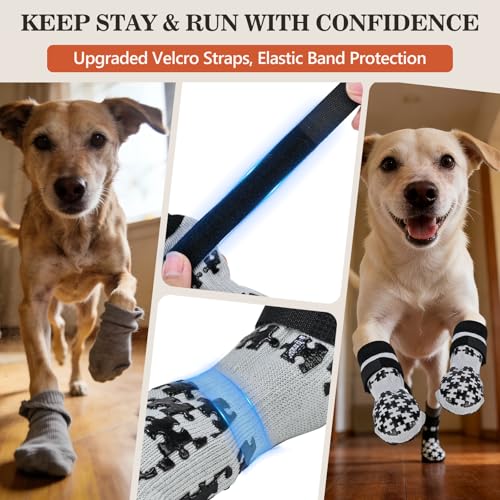 Dog Paw Socks (XS(Pack of 4))