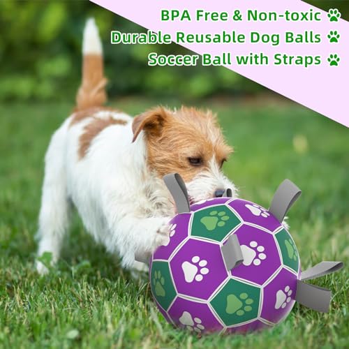 Dog Toy Balls (6 Inch / Purple Green)