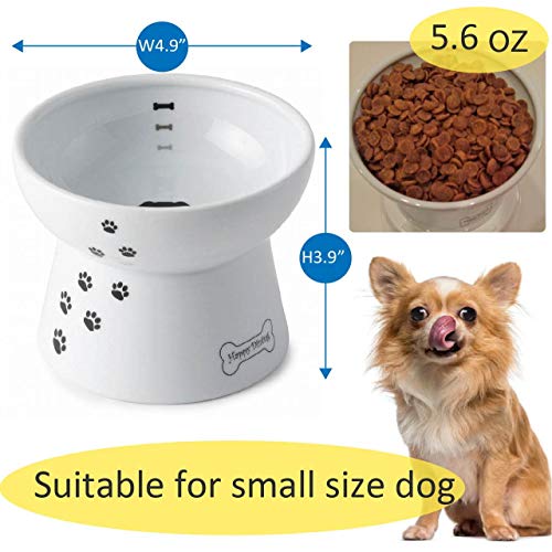 Necoichi Raised Dog Food Bowl (Regular)