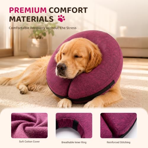 Inflatable Dog Cone (Rose / S(9"-10"))