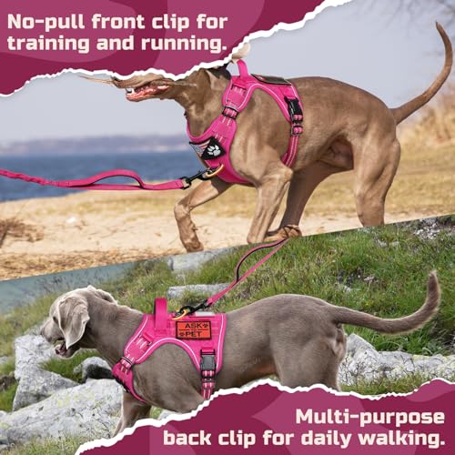 Tactical Dog Harness for Large (Rose Red / Large)