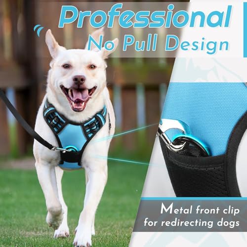 Dog Harness for Small Dogs (Small / Sky Blue)