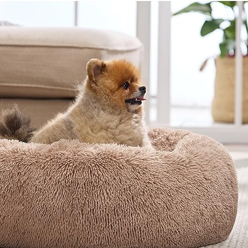 Calming Cat Beds Donut Round Washable Kitten Bed (20"L x 20"W x 6"Th / Camel)