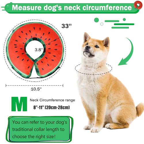 Recovery Donut Collar for Dogs & Cat (Watermelon / M（neck 8"-11"）)