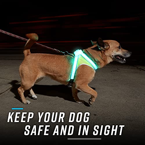 LightHound Light Up Reflective Dog Harness and Wrist Light (X-Large)