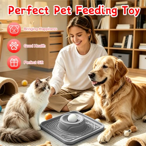Slow Feeder Dog Bowl & Lick Mat (gray)