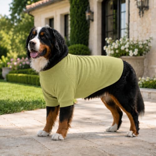 Ribbed Dog T Shirt Cotton Knitted Dog Sweaters for All Season Pet T (3XL (for Large Dog) / Chartreuse)