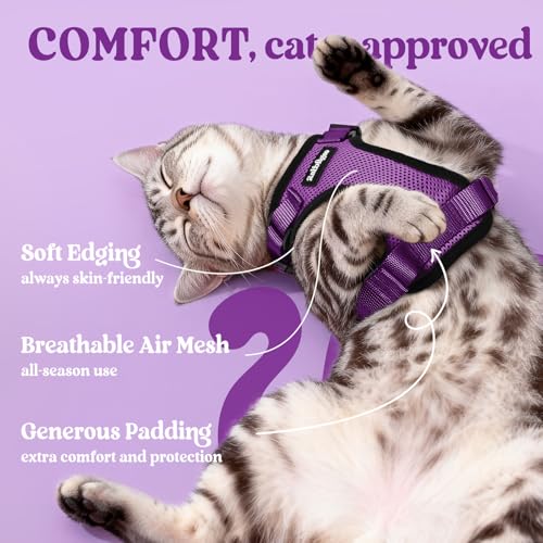 Cat Harness and Leash Set (M / Purple)