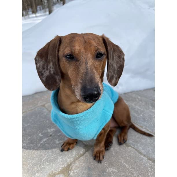Zip Up Fleece Dog Sweater (2X-Large chest (~25.5") / Turquoise)