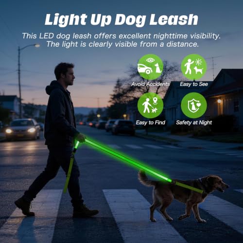 Light Up Dog Leash (Green / 6FT)