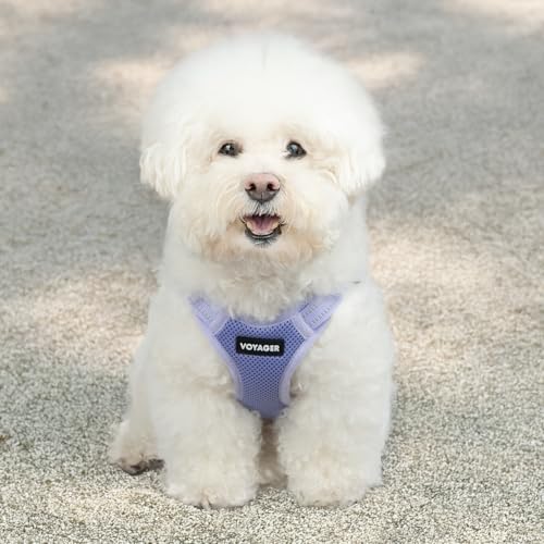 Voyager Step in Flex Adjustable Dog Harness (Harness (Lavender) / XL)