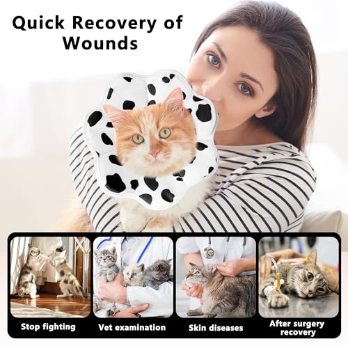 Soft Adjustable Cat Cone Collar (Milk / X-Small)