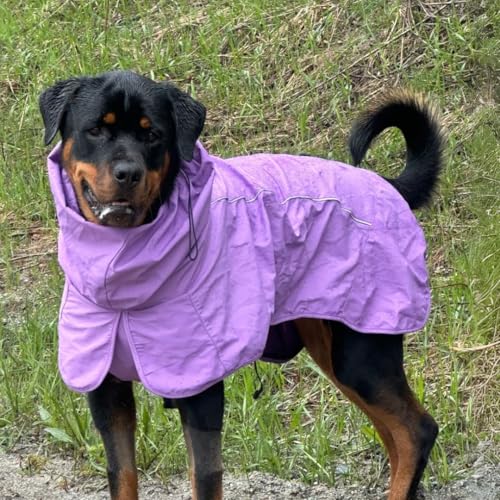 Dog Raincoat Waterproof Rain Jacket w (Purple / Medium)